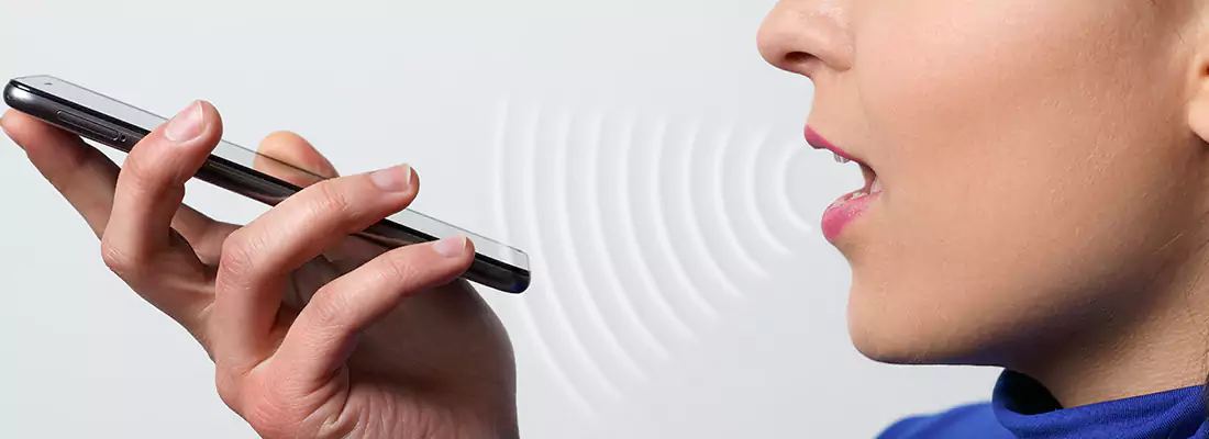 Residential and Commercial Voice Recognition Access Solutions in Englewood, FL