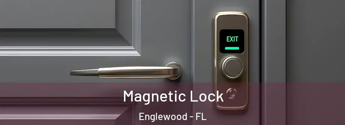  Magnetic Lock Englewood - FL
